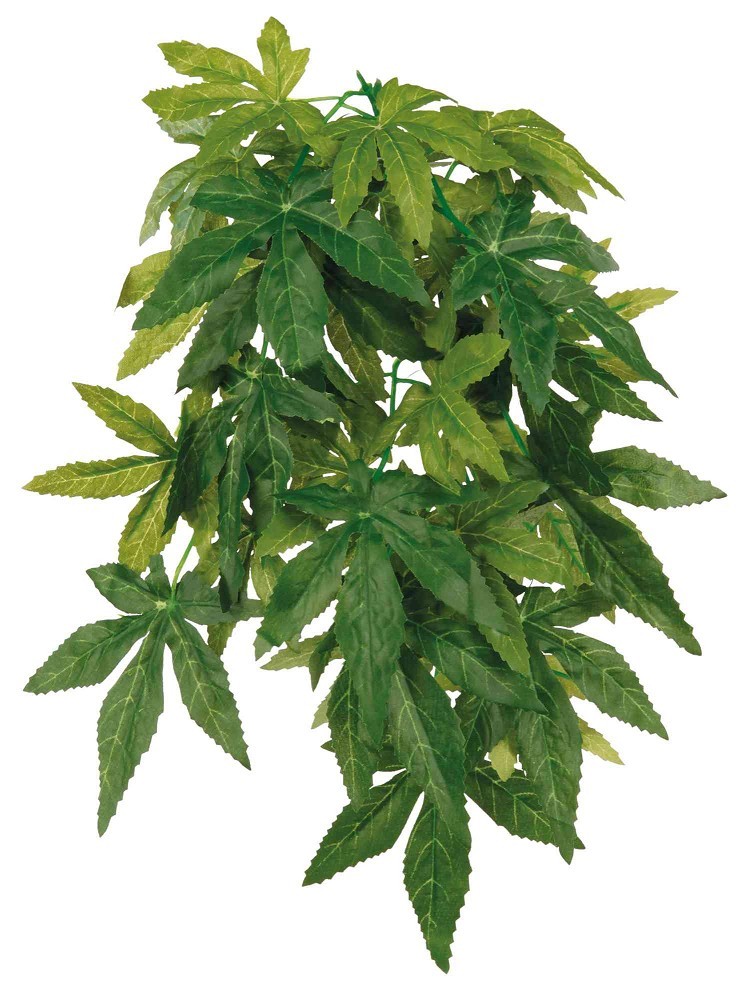 Trixie Seiden-Hängepflanze Abutilon 50 cm