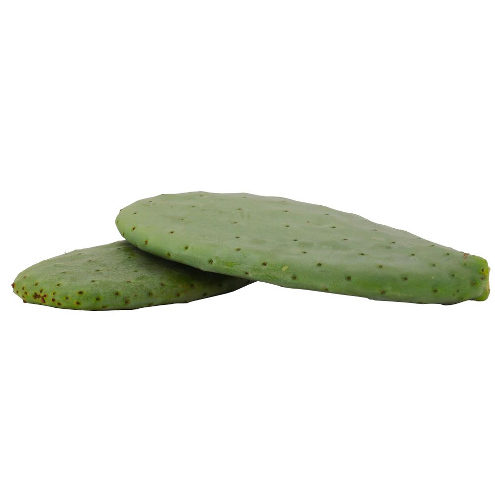 Opuntien (Opuntia) - Kaktusblätter- Futterpflanze (je kg)